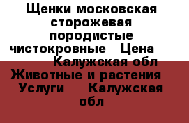 Щенки московская сторожевая породистые чистокровные › Цена ­ 20 000 - Калужская обл. Животные и растения » Услуги   . Калужская обл.